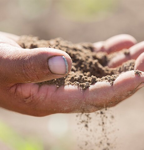 Ampliação da mão de um fazendeiro com terra