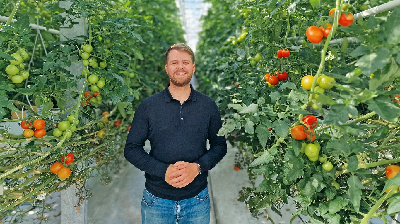 NA ISLÂNDIA, A ENERGIA GEOTÉRMICA FAZ RENASCER A AGRICULTURA