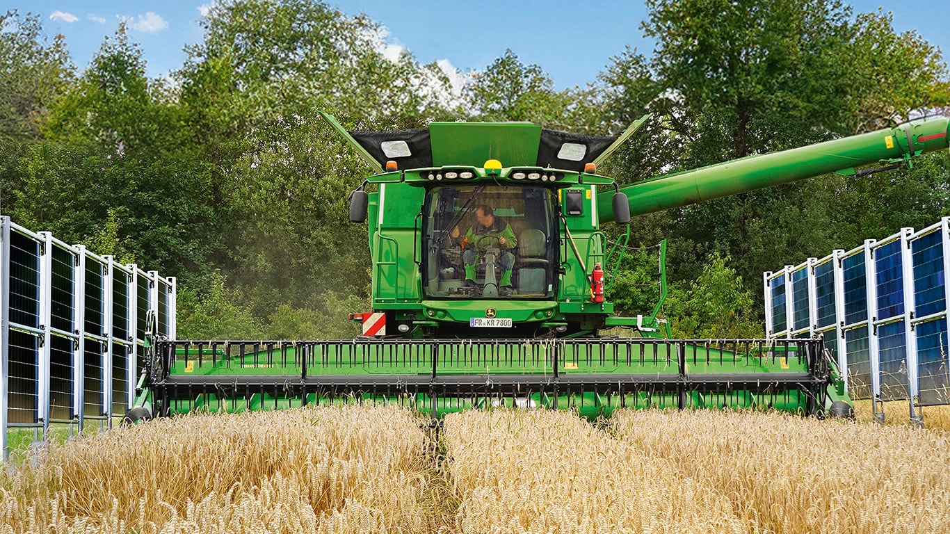 SISTEMAS AGROVOLTAICOS: QUAL O EFEITO NO RENDIMENTO?