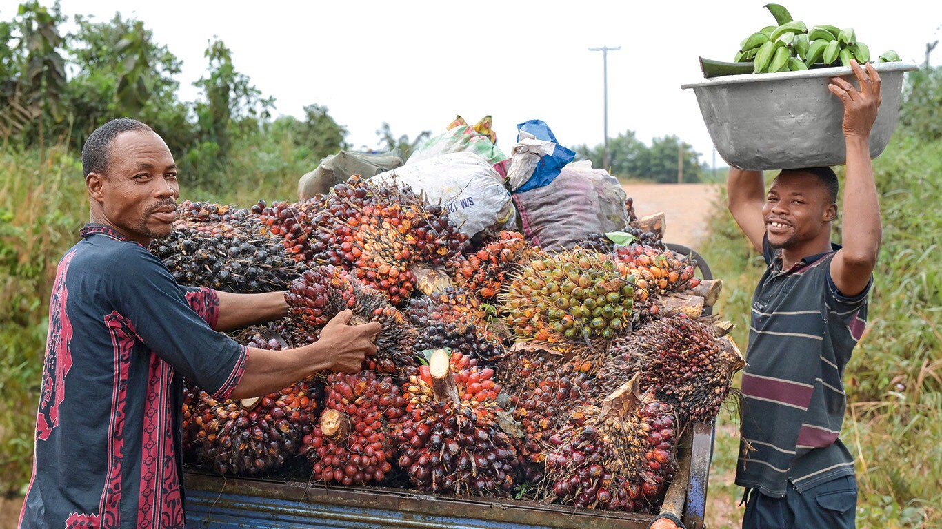 A AGRICULTURA EM BUSCA DA MODERNI- ZAÇÃO NO GANA