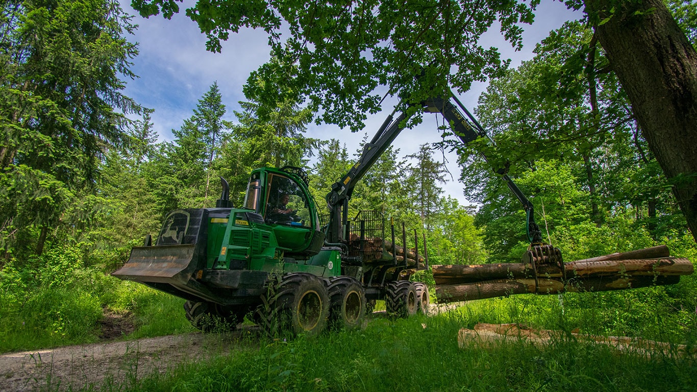 Forwarder na floresta